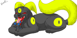 Kuro and Shinybre