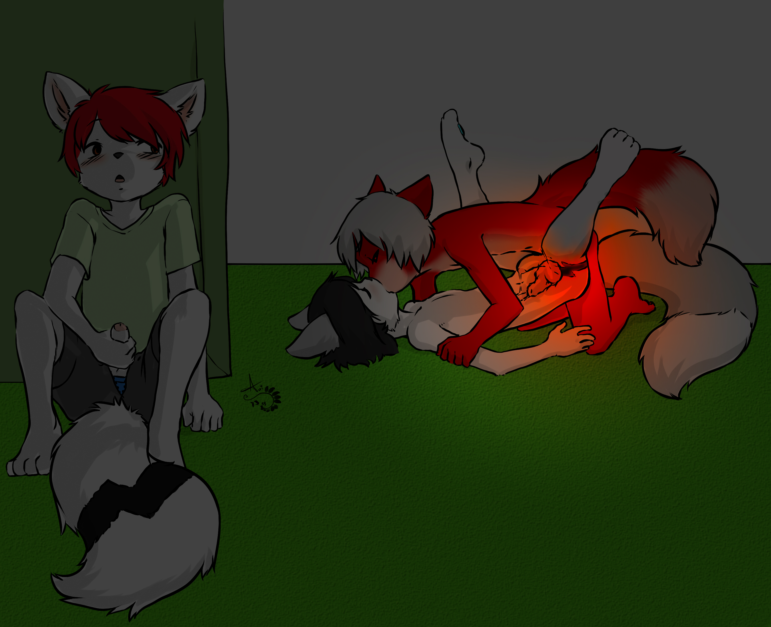 594517_WinterFox_4l_black_night.jpg