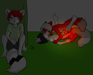 594517_WinterFox_4l_black_night.jpg