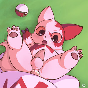 cute lil zangoose
