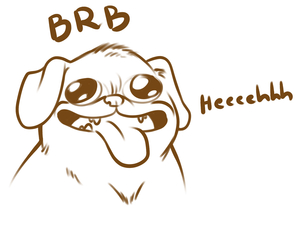 Pug Right Back
