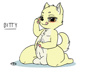 Bitty the cub corgi