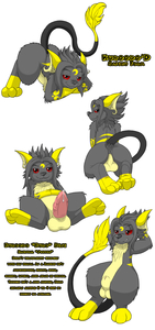 Kuroodo Raichu Ref Sheet