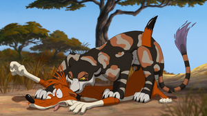 Cougar and Stoat