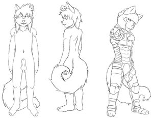 Knight Prince Canidae