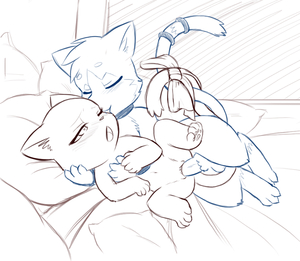 A Lovely Night