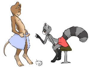 639115_WinterFox_1c.jpg
