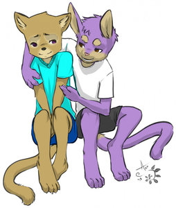 639135_WinterFox_1376529171.kinielcat_kin_swizz_comfort.jpg