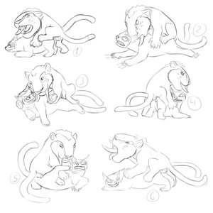 Chunky the Macawnivore and the Bearowl sketches