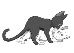 Jiji and Diana