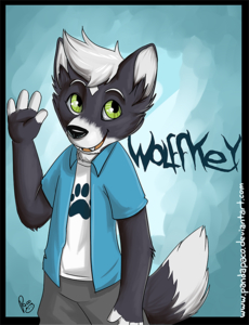 Wolffkey