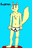 Dog 