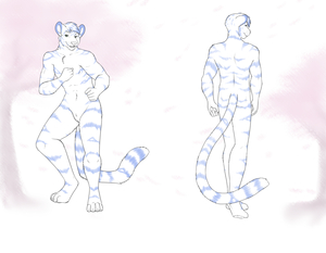 Commission - Marvol Reference