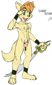 My Colorings