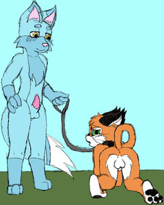 663228_WinterFox_jumanjiro.jpg