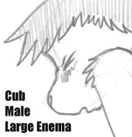 Sudsy Enema