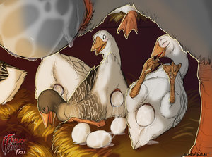 On the sixth day of Christmas, Feralis gave to me...