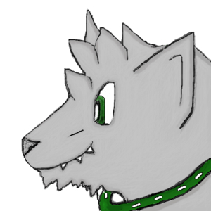 Collared wolf