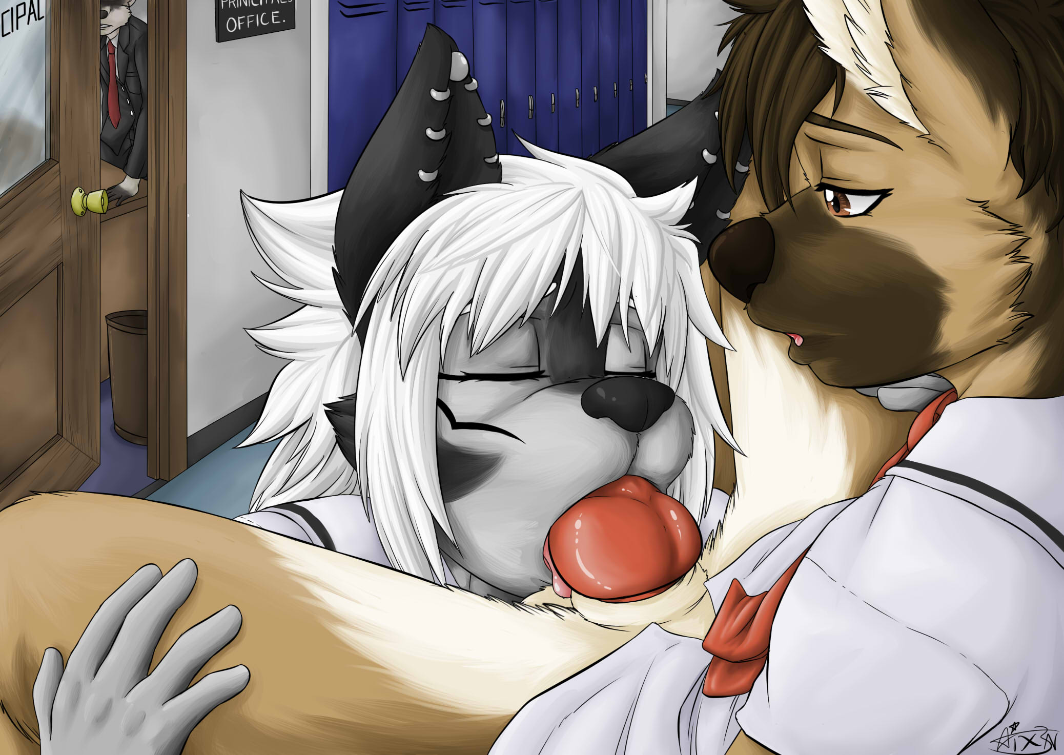 694279_AiX3N_aixshep_clean.jpg