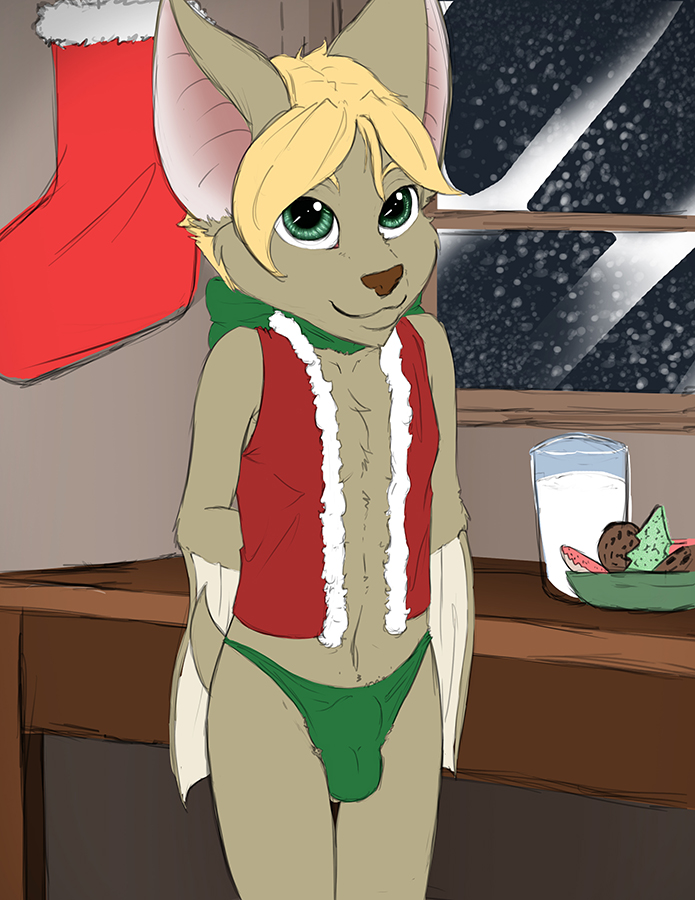 701172_DiegoandFriends_chrismas_bat_undies.jpg