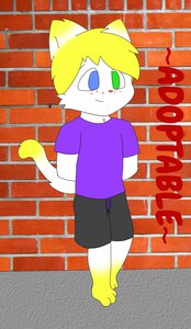~Kitten Boy Adoptable~ (SOLD)
