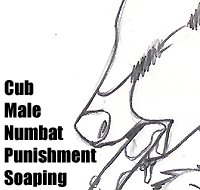 Numbat Soapings