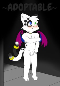 Winged Kitten Boy Adoptable