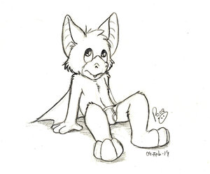 Nibbler the cutest bat ever