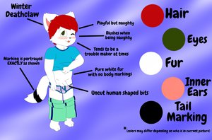 Winter - Ref Sheet!