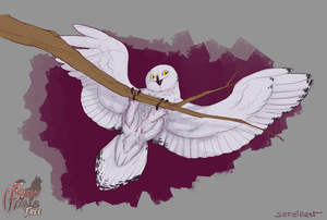 Owlt on a Limb