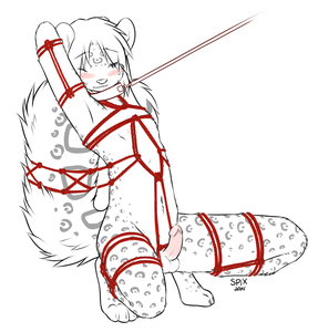 [Stream CM] Uh Oh, Shibari-O's