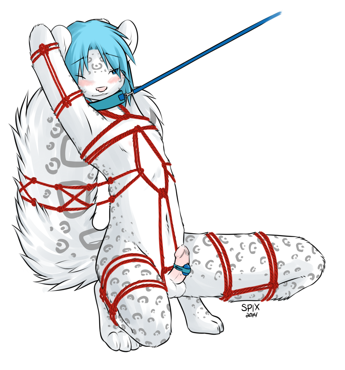 763612_Spix_stream_-_seraph_shibari_colour_sml.png