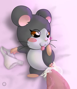 Mini-ham 