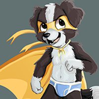 super cutie border collie the most cutie super hero