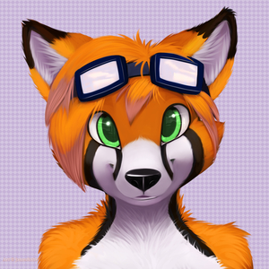dandyfloss (headshot)