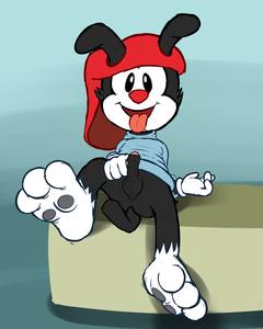 Wakko