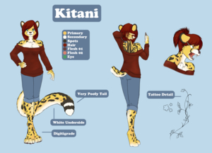 [CM] Kitani Wears a Sweater Several Times
