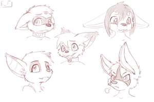 Portraits