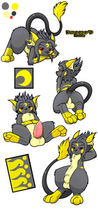 Kuroodo Raichu Ref Sheet v2