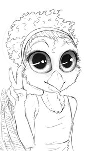 Adaeze the South African Potoo Bird