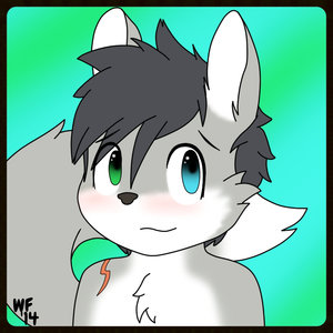821345_WinterFox_cci060120.jpg