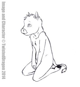 Bull Boy