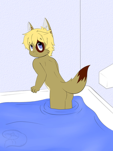 Adoptable Folf boy~ :3