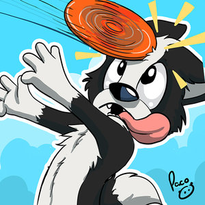 Frisbee fail