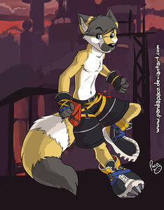 Sora's badge