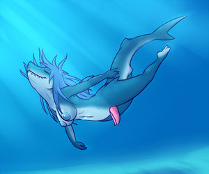 Shark Herm