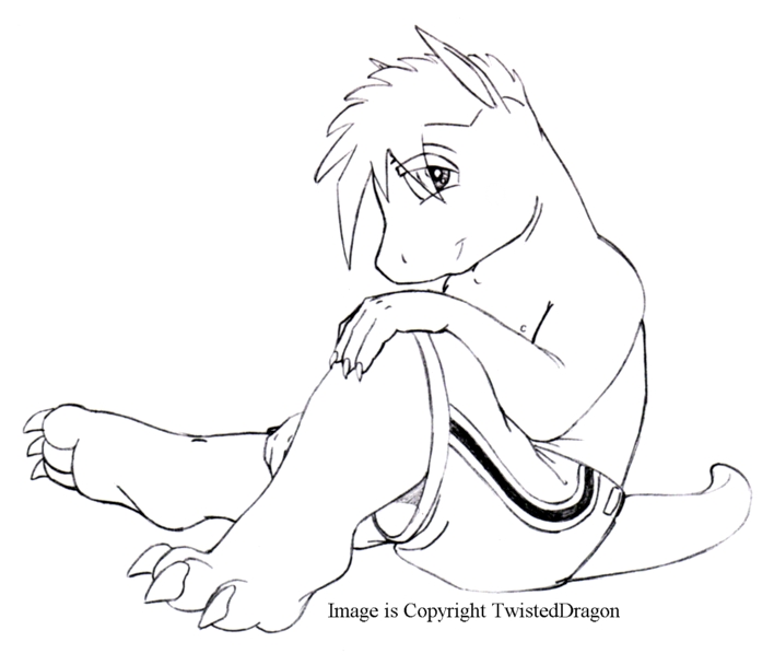 892981_TwistedDragon_agrowingboyinshortstame.jpg