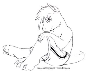 892981_TwistedDragon_agrowingboyinshortstame.jpg