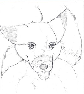 JIZZED, ON MY FOX