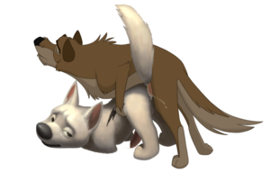 Balto and Bolt